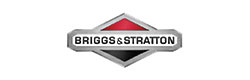 Briggs & Stratton