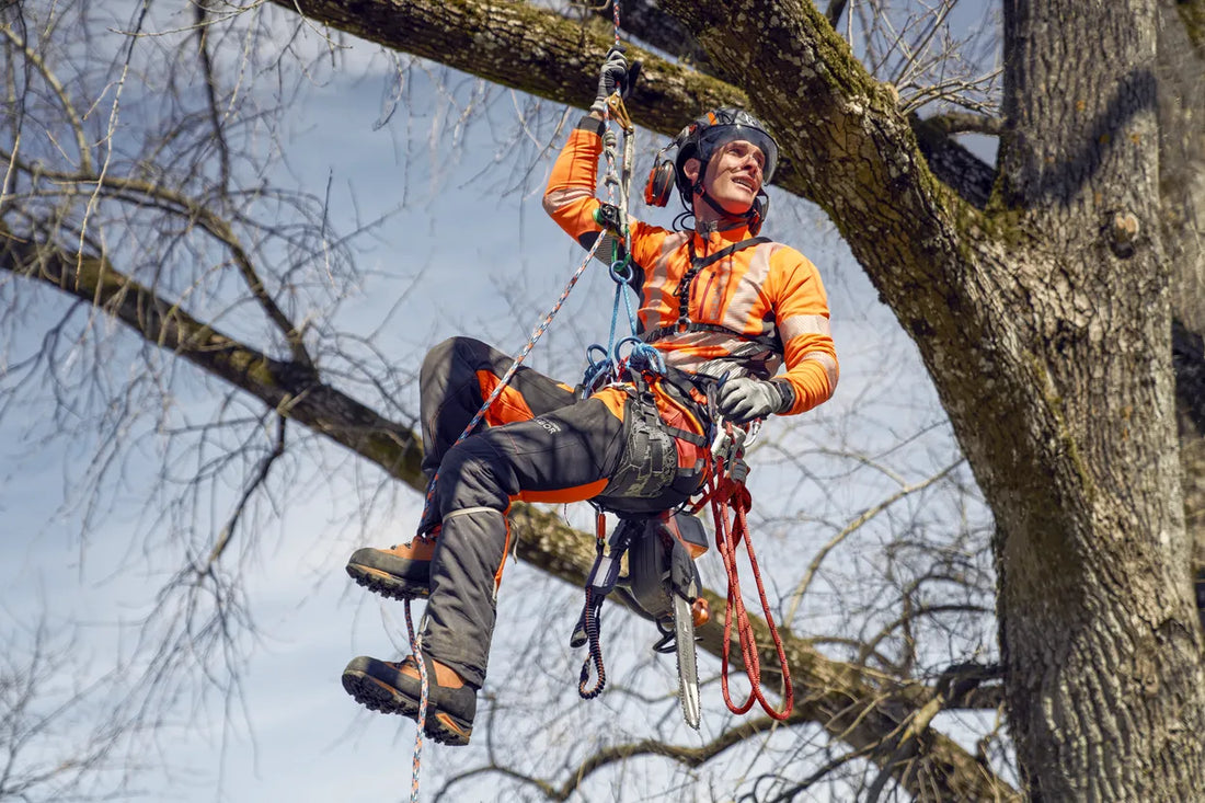 Husqvarna tree professionals arborist