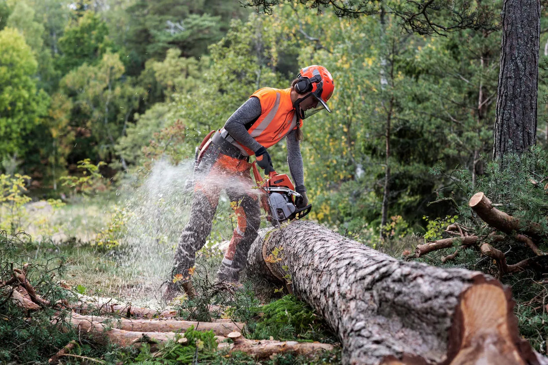 Petrol Chainsaws