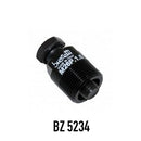 BZ 5218