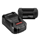Honda 6 Amp Battery & Fast Charger Combo