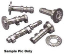 HOT CAMS CAMSHAFT EXCELLENT MIDRANGE AND TOP END POWER INCREASE HONDA TRX400EX TRX400X XR400