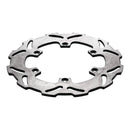 Brake Disc Rear 18-0048