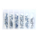 Bolt Workshop Service Kit: M5 Pan Head Phillips