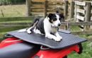 Dog lying on a motorcycle seat cover with a wooden fence and grassy field in the background