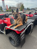 Dog sitting on a red Honda ATV in an outdoor setting