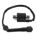 J&N Ignition Coil (160-01068)