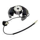 Stator + Rotor + Ignition Coil Kit (RMS900-107608)