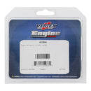 OIL SEAL KIT 822994