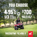 Honda TRX250TM