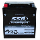 MOTORCYCLE AND POWERSPORTS BATTERY AGM 12V 30AH 460CCA BY SSB HIGH PERFORMANCE