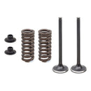EXHAUST VALVE KIT PSYCHIC MX INCLUDES 2 VALVES, 2 SPRINGS, RETAINERS & SEATS