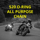 520-ORING_2