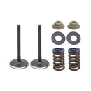 VALVE INLET NAMURA STAINLESS {HEAVY DUTY SPRINGS RECOMMENDED} KX450F 19-23
