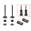 EXHAUST VALVE KIT PSYCHIC MX INCLUDES 2 VALVES, 2 SPRINGS, RETAINERS & SEATS KTM