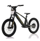 AZONIC Flow 20 (AZF-20) - Electric Balance Bike