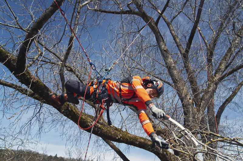 Husqvarna Climbing Harness