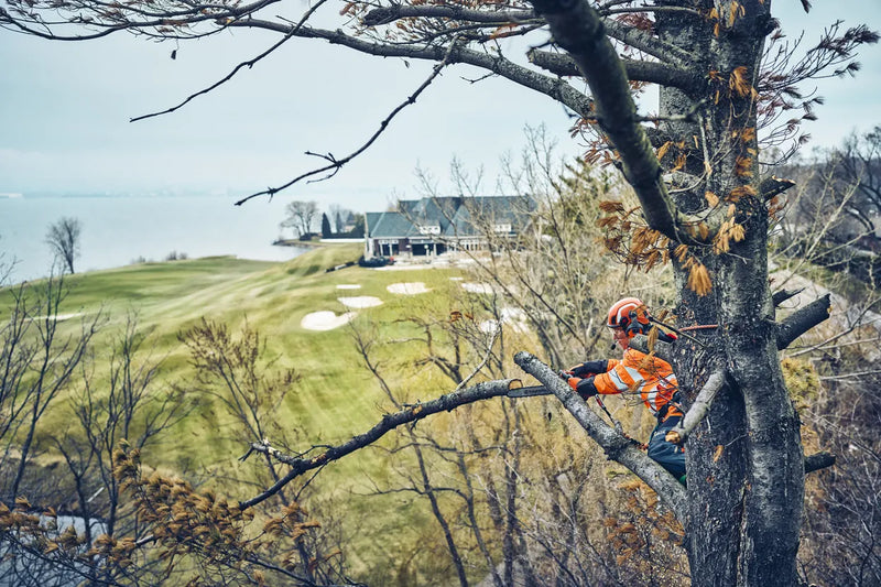 The Husqvarna T542i XP Battery Chainsaw (Skin Only) features an eye-catching orange and black body, a sturdy metal chain bar with the "Husqvarna" brand name displayed on it, a grip handle, and various adjustment controls against a transparent background.