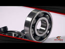 All Balls Racing Crankshaft Bearing Kit (24-1008)