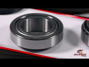 All Balls Racing Steering Head Bearing Kit (22-1025)