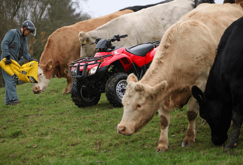 Honda TRX250TM