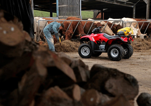 Honda TRX250TM