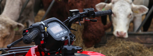 Honda TRX250TM